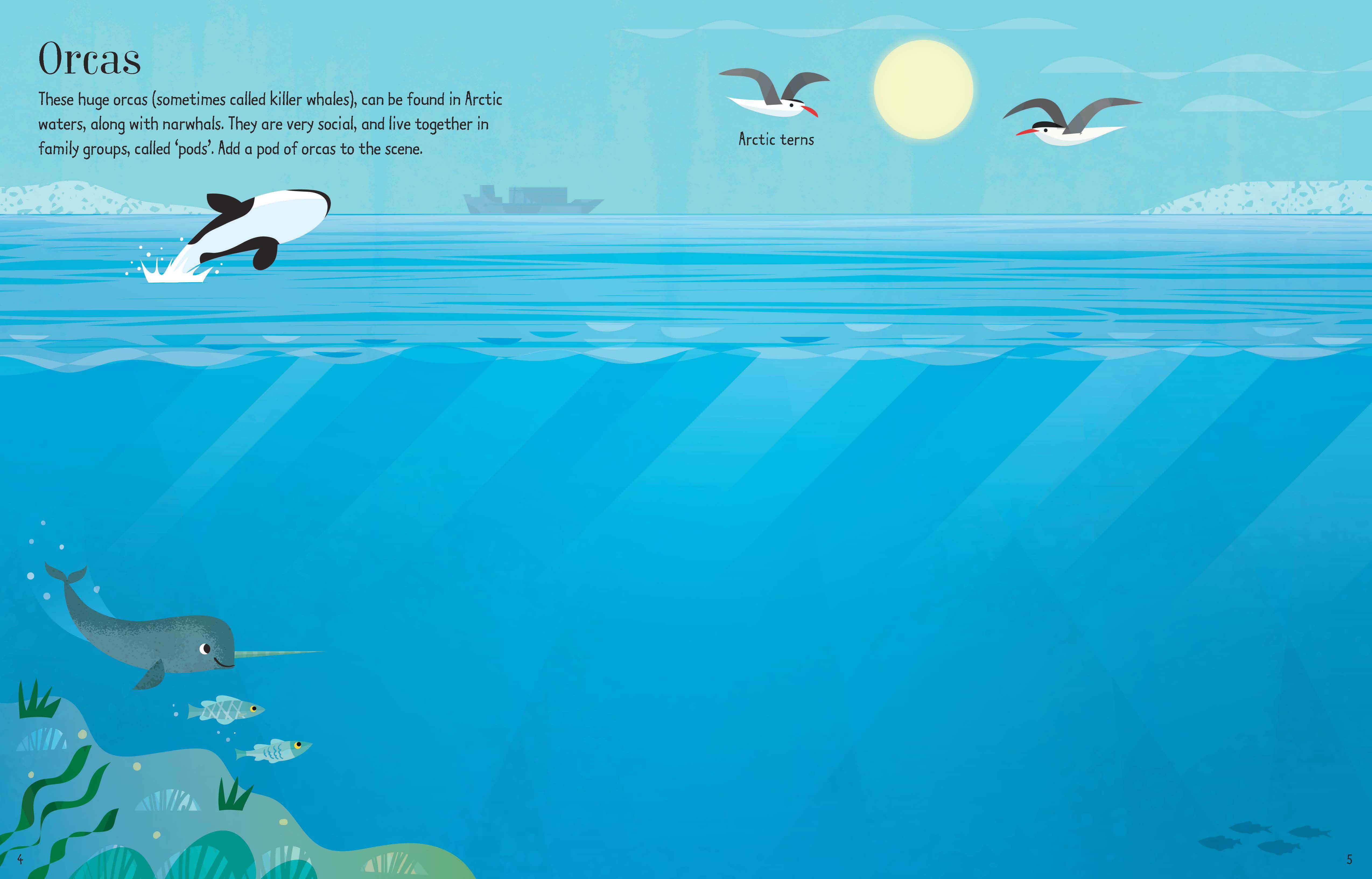 super narwhal books