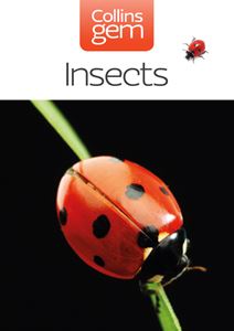 GEM INSECTS 