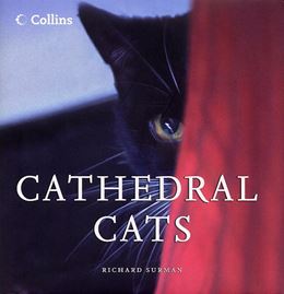 CATHEDRAL CATS (MINI ED)
