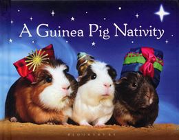 GUINEA PIG NATIVITY
