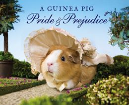 GUINEA PIG PRIDE AND PREJUDICE
