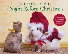 GUINEA PIG NIGHT BEFORE CHRISTMAS