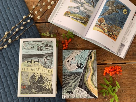 Selection of books illustrated by Angela Harding