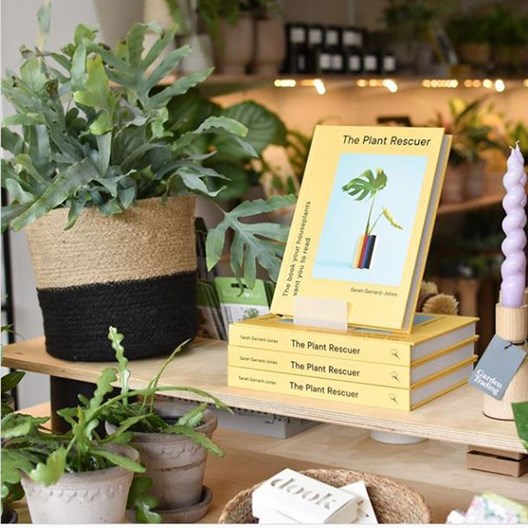 Yellow books on a shelf surrounded by plants