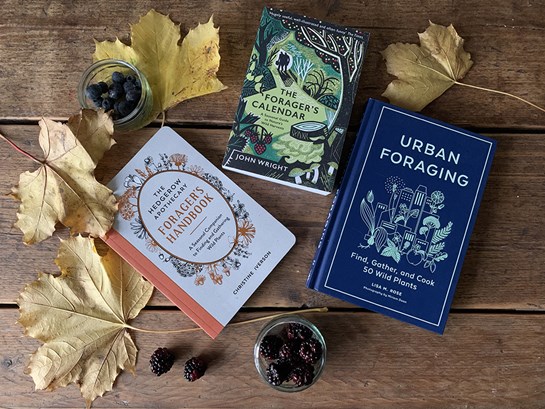 three books about foraging positioned on a rustic table surrounded by leaves and berries