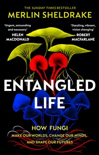Black book cover for Entangled Life feauring colourful illustration of fungi