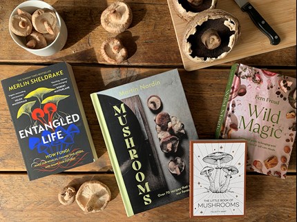 Selection of books on a rustic table surrounded by a variety of mushrooms.