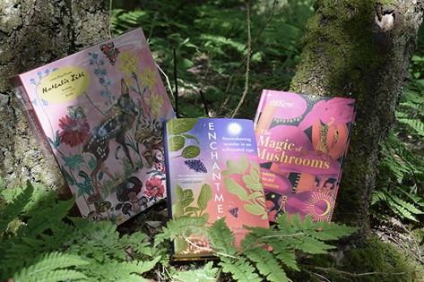 woodland themed books in a forest setting