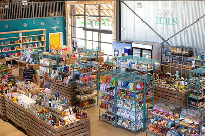 Retail interior featuring shelving full of different products.