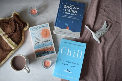 Winter themed books laid out in a display