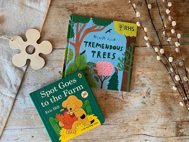 Two children's books on a rustic surface