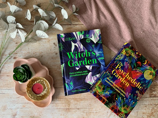 Gardening books fanned out on a pale wooden surface surrounded by homewares accents